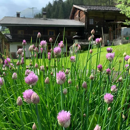 Ferienhaus Im Bergidyll St. Jakob in Defereggen